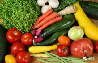 她是90后,用2年時(shí)間打造了中國最大農(nóng)業(yè)體驗(yàn)項(xiàng)目