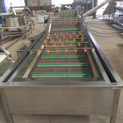 諸城森岳蔬菜水果臭氧殺菌氣泡清洗機(jī)