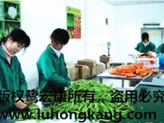 廈門價位合理的鷺宏康果蔬&middot;廠家直銷 市轄區(qū)廈門蔬菜配送圖片|廈門價位合理的鷺宏康果蔬&middot;廠家直銷 市轄區(qū)廈門蔬菜配送產(chǎn)品圖片由廈門鷺宏康果蔬公司生產(chǎn)提供-