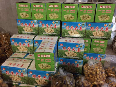 陳學(xué)大姜報價_廠家直銷實(shí)惠的大姜圖片|陳學(xué)大姜報價_廠家直銷實(shí)惠的大姜產(chǎn)品圖片由山東陳學(xué)蔬菜公司生產(chǎn)提供-