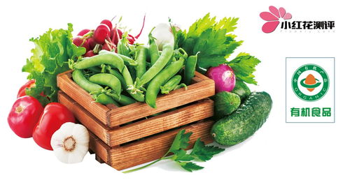 給寶寶吃有機(jī)食物值得嗎 用測評數(shù)據(jù)告訴你