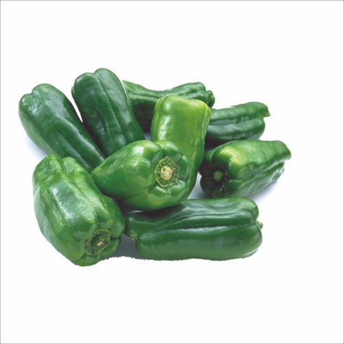 真實蔬菜各種食材 白菜馬鈴薯西紅柿胡蘿卜 png透明免扣設計素材 蔬菜免扣素材