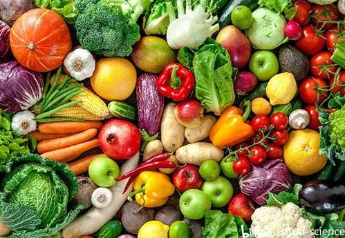 貯藏對(duì)蔬菜質(zhì)地的演變及其在農(nóng)副產(chǎn)品收購(gòu)中的影響